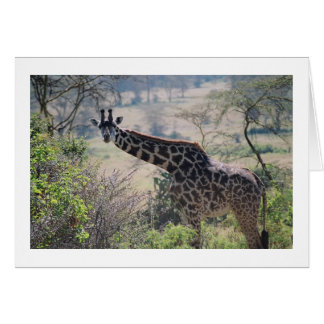 Giraffe mit erweitertem Neck
