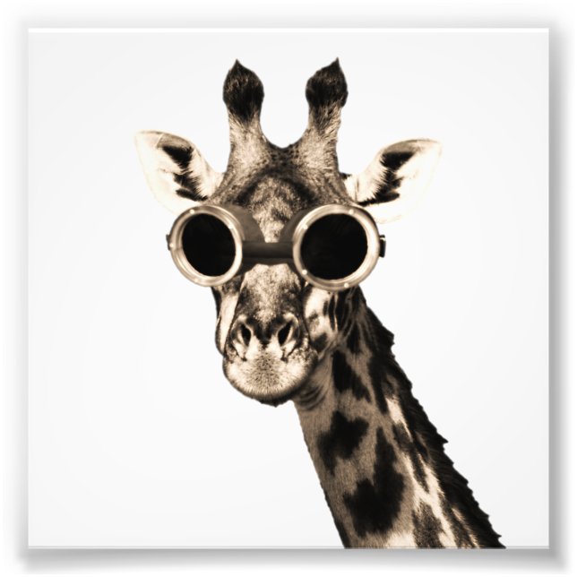 Giraffe mit Steampunk-Sonnenbrille-Brille Fotodruck (Vorne)