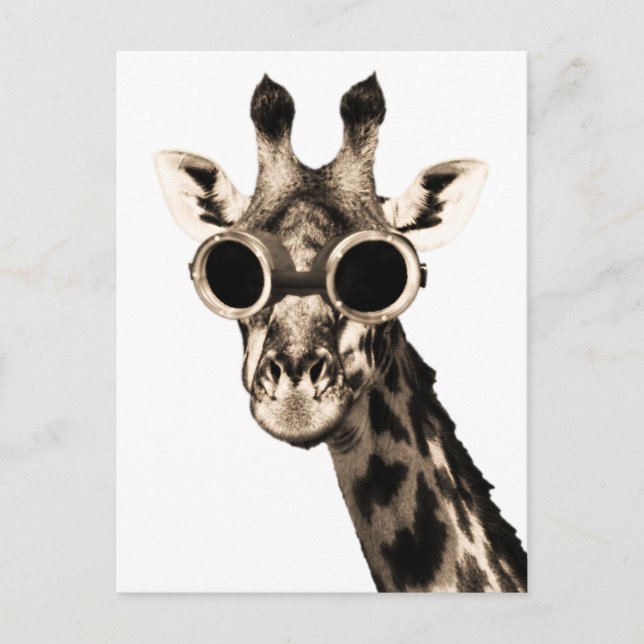Giraffe mit Steampunk-Sonnenbrille-Brille Postkarte (Vorderseite)