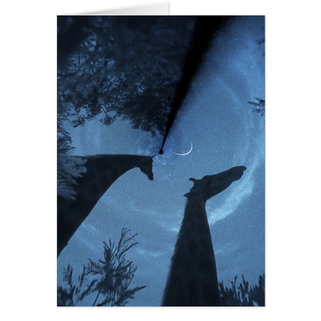 Giraffe Moon (Vorne)