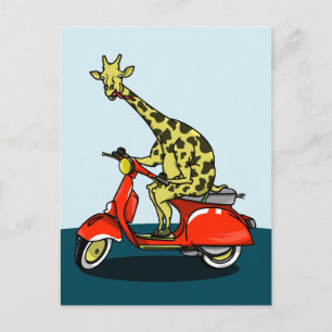 Giraffe, Motorrad fahren Postkarte