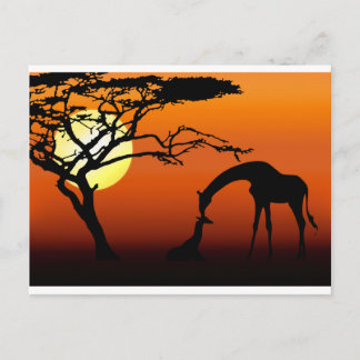 Giraffe Mutter und Baby in African Sunset Postkarte