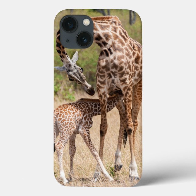 Giraffe Mutter und Baby in Kenia Case-Mate iPhone Hülle (Rückseite)