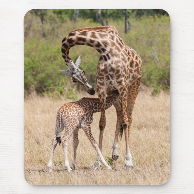 Giraffe Mutter und Baby in Kenia Mousepad (Vorne)