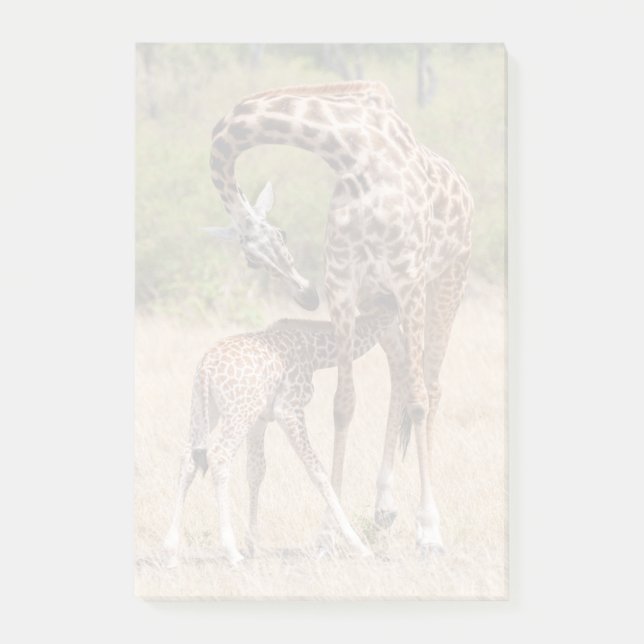 Giraffe Mutter und Baby in Kenia Post-it Klebezettel (Vorderseite)