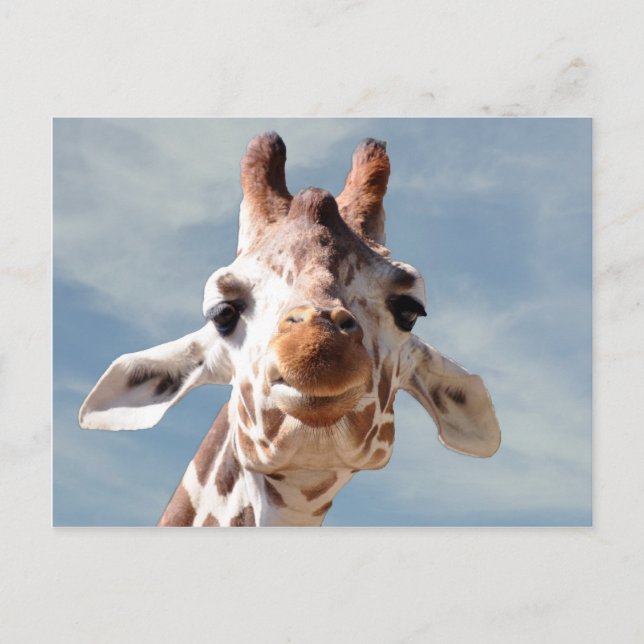 Giraffe Nah mit Blue Sky Postkarte (Vorderseite)