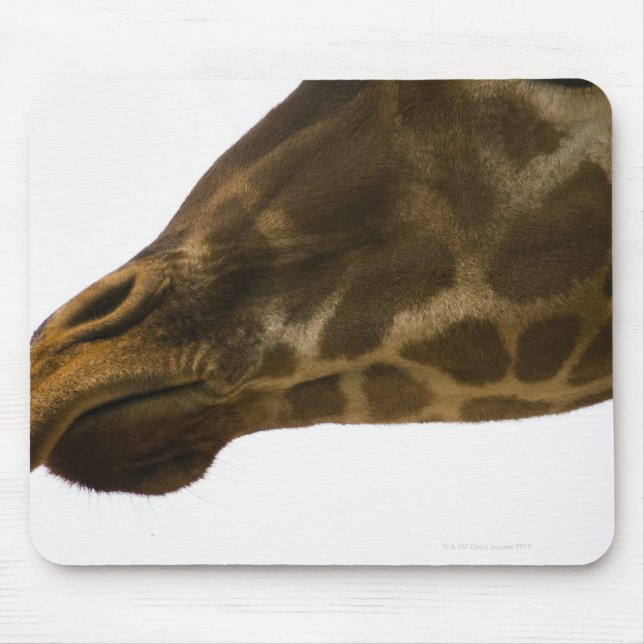 Giraffe, nah mousepad (Vorne)