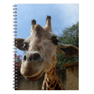 Giraffe Notizblock