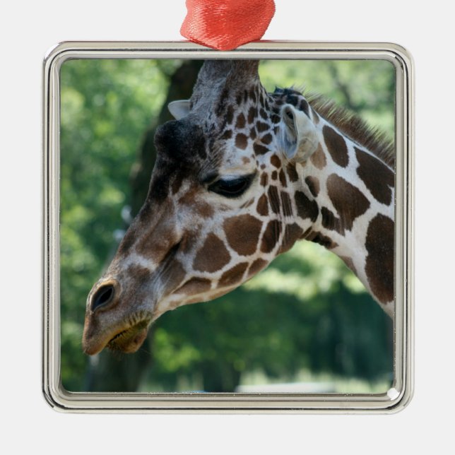 Giraffe Ornament (Vorne)