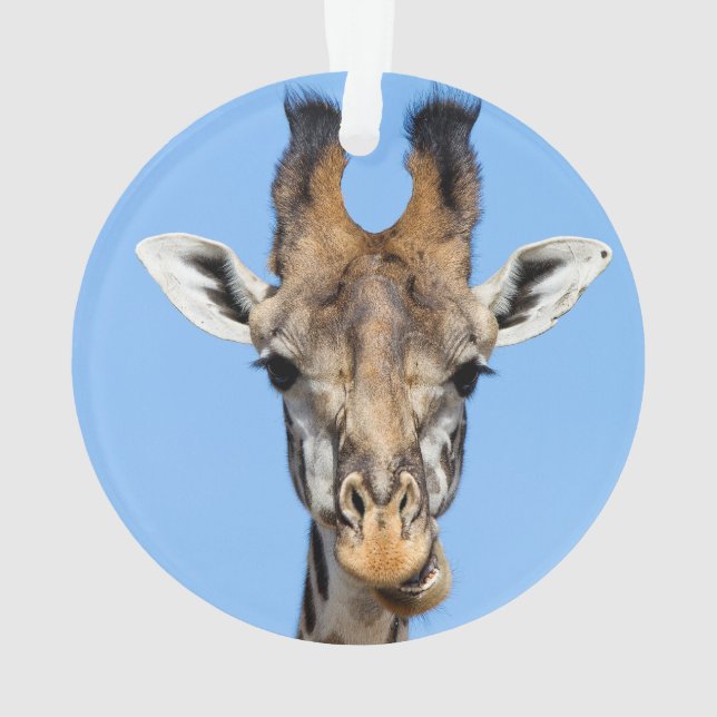 Giraffe Ornament (Rückseite)