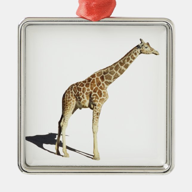 Giraffe Ornament Aus Metall (Vorne)