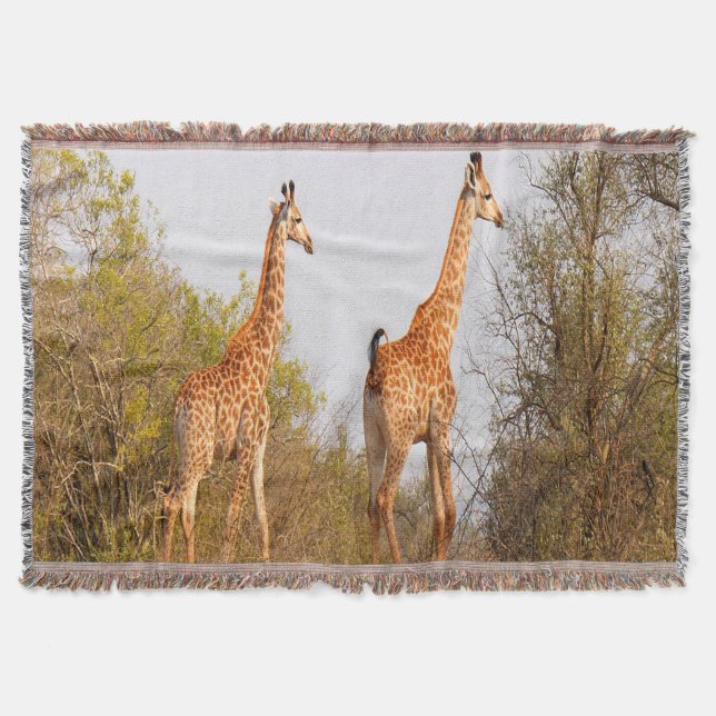 Giraffe Pair Decke (Vorderseite)