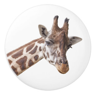 Giraffe Portrait auf Weiß Keramikknauf