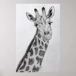 Giraffe Portrait Bleistift Sketch Zeichnend Kunstd Poster