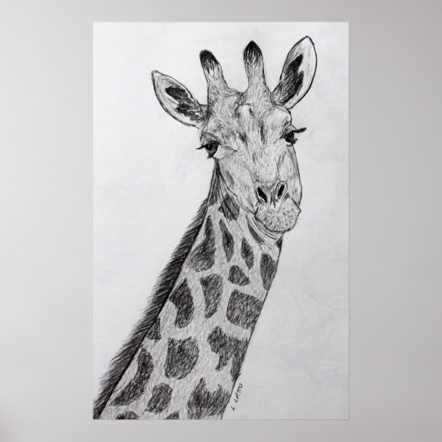 Giraffe Portrait Bleistift Sketch Zeichnend Kunstd Poster (Vorne)
