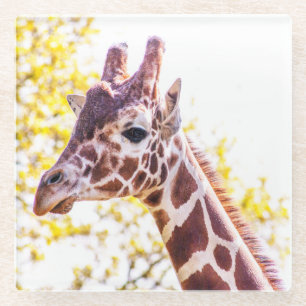 Giraffe Portrait Glasuntersetzer