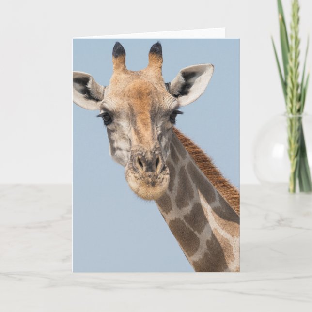 Giraffe-Portrait Karte (Vorderseite)