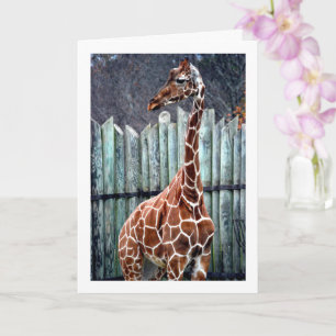 Giraffe Portrait Karte