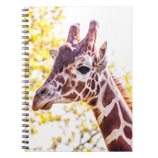 Giraffe Portrait Notizblock (Vorderseite)