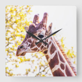 Giraffe Portrait Quadratische Wanduhr
