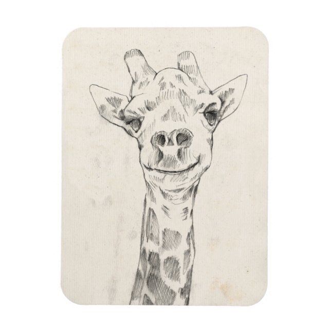 Giraffe Portrait Sketch Magnet (Vertikal)