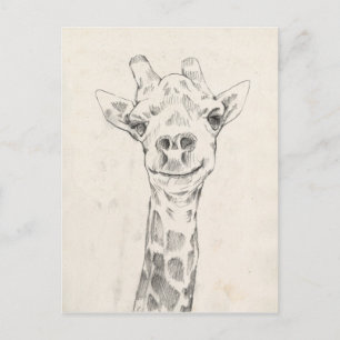 Giraffe Portrait Sketch Postkarte
