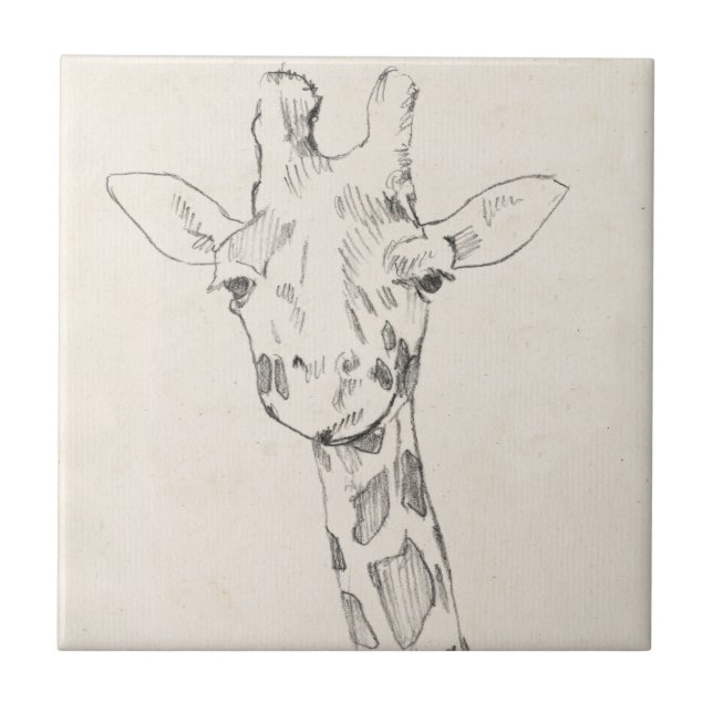 Giraffe Portrait | Zeichnung Fliese (Vorderseite)