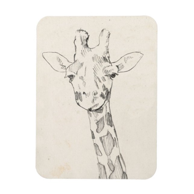 Giraffe Portrait | Zeichnung Magnet (Vertikal)