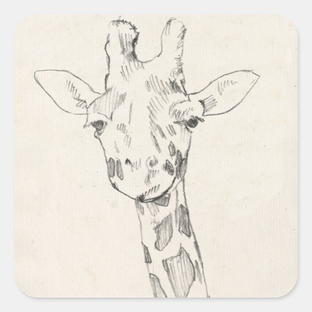Giraffe Portrait | Zeichnung Quadratischer Aufkleber (Vorderseite)