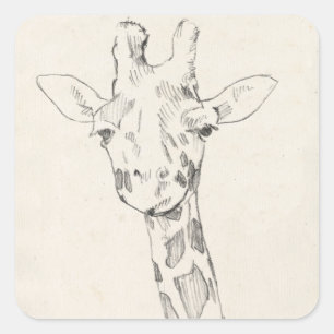 Giraffe Portrait   Zeichnung Quadratischer Aufkleber