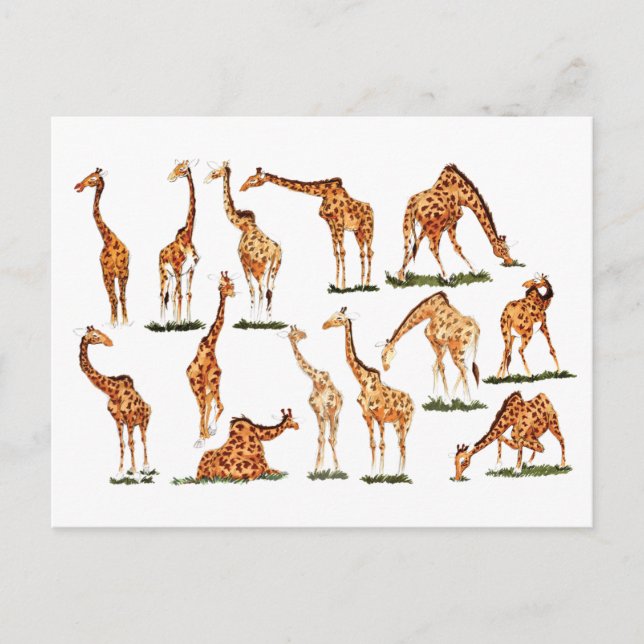 "GIRAFFE" POSTCARD POSTKARTE (Vorderseite)