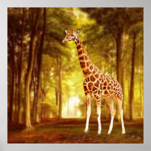 Giraffe Poster