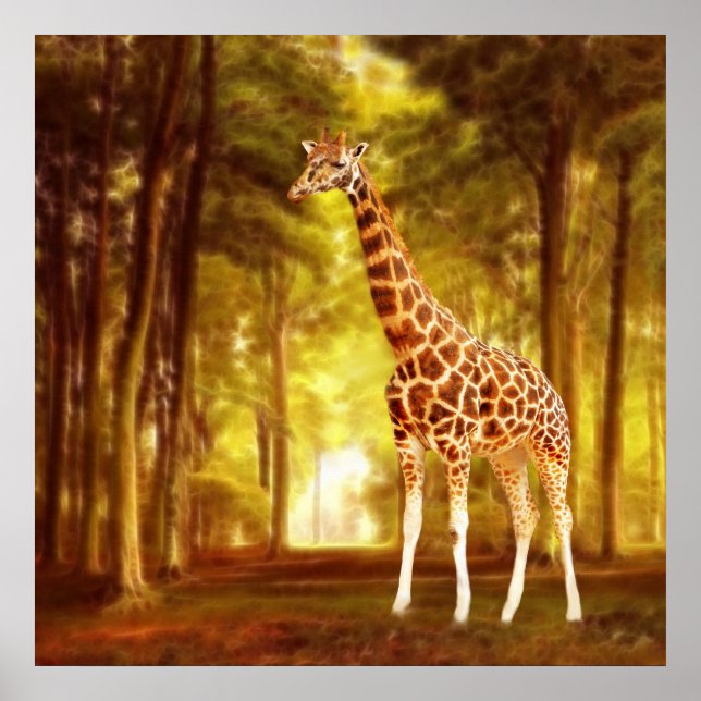 Giraffe Poster (Vorne)