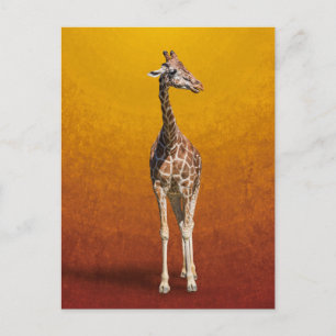 GIRAFFE POSTKARTE