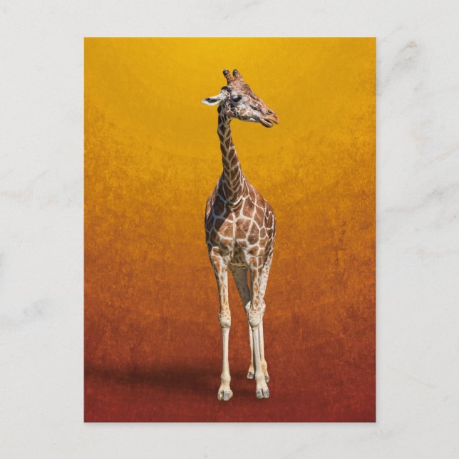 GIRAFFE POSTKARTE (Vorderseite)