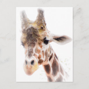 Giraffe Postkarte