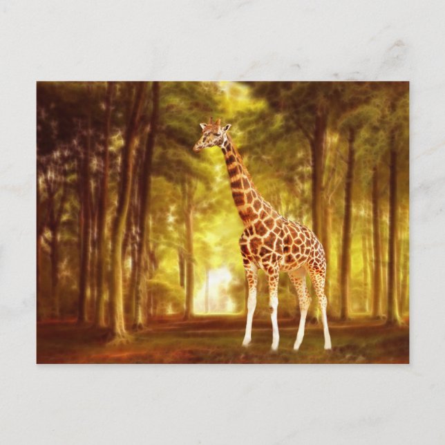 Giraffe Postkarte (Vorderseite)