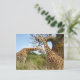 Giraffe Postkarte (Stehend Vorderseite)
