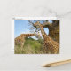 Giraffe Postkarte (Vorderseite/Rückseite Beispiel)