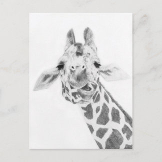 Giraffe Postkarte