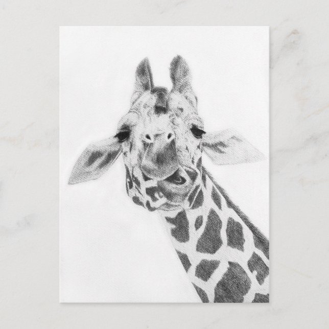 Giraffe Postkarte (Vorderseite)