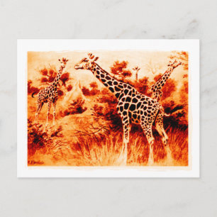 Giraffe Postkarte