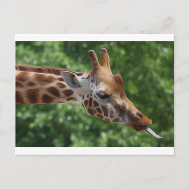 Giraffe Postkarte (Vorderseite)