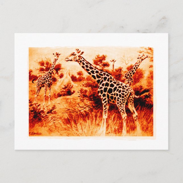 Giraffe Postkarte (Vorderseite)