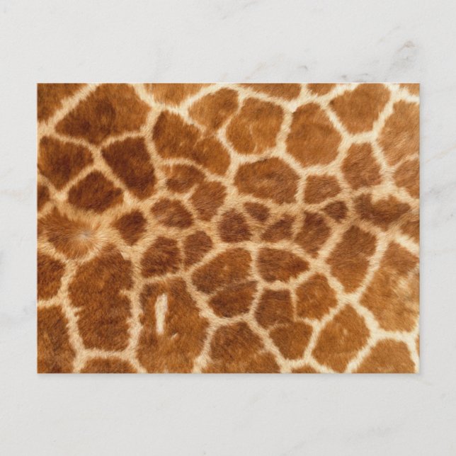 Giraffe Print Postkarte (Vorderseite)