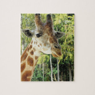 Giraffe Puzzle