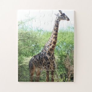 Giraffe Puzzle