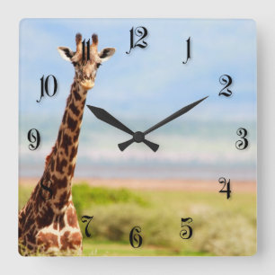 Giraffe Quadratische Wanduhr