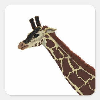 Giraffe Quadratischer Aufkleber