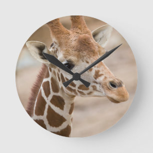 Giraffe Runde Wanduhr
